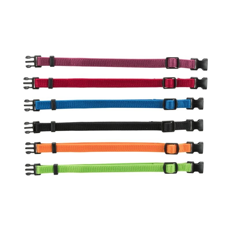 Set 6 Colliers Identification Chiots Trixie - La Ferme de Marine