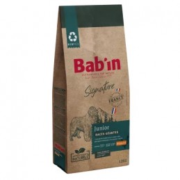 Bab'in Signature Junior Races Géantes - Fidélité 10+1 - 88 & 68