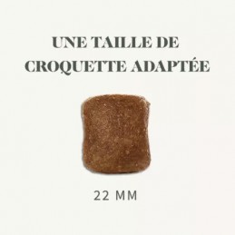 Bab'in Signature Maxi Adulte Poulet - Fidélité 10+1 - 88 & 68