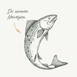 Bab'in Lab Mini Peau & Pelage - Fidélité 10+1 - 88 & 68