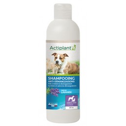 ACTIPLANT - Shampooing...