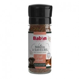 Bab'in - Moulin à saveurs...