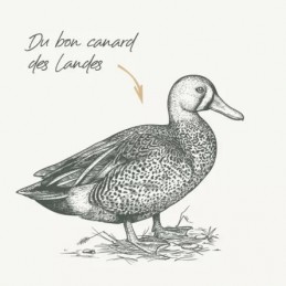 Bab'in Signature Adulte Canard - Fidélité 10+1 - 88 & 68