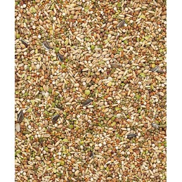 Versele-laga - Friandises pour volailles snack garden mix 1kg