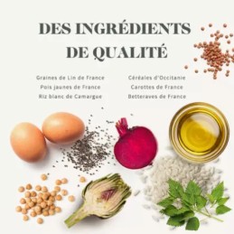 Bab'in Signature Medium Adulte Truite - Fidélité 10+1 - 88 & 68