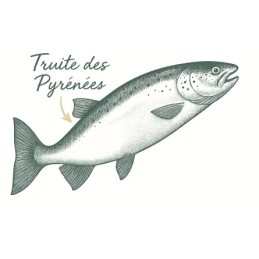 Croquettes Chien Medium Adulte Truite 12kg - Peau Sensible & Oméga 3