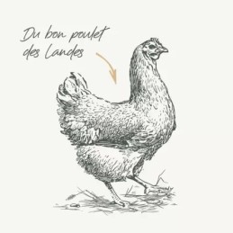 Croquettes Chien Stérilisé Sans Céréales Poulet Bab'in 12kg - Contrôle Poids