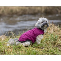 Manteau Arlay Trixie pour Chien - Déperlant & Doublure Polaire