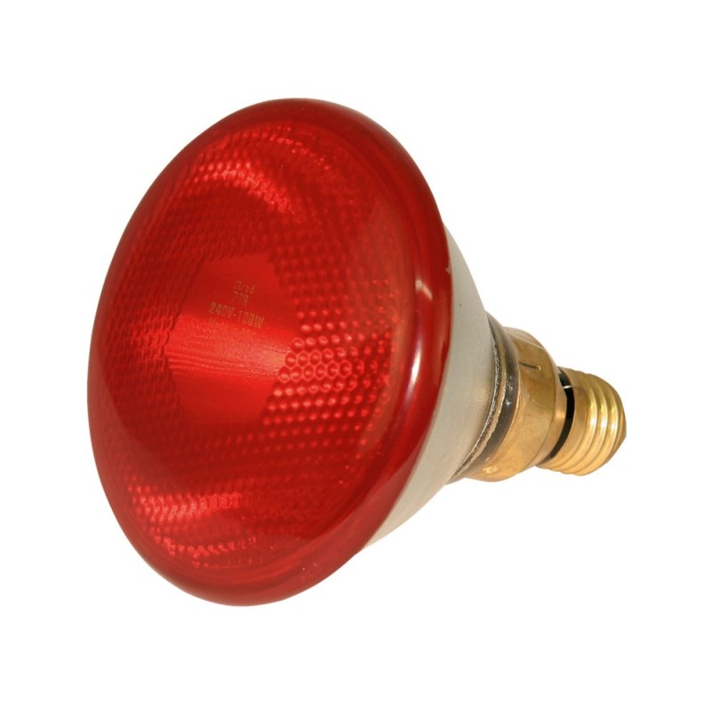 Lampe Infrarouge Kerbl 175W Rouge PAR38 - Chauffage Élevage