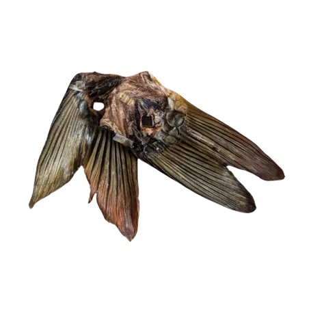 Queues de Truite Séchées pour Chien 100g - Les Recettes de Daniel