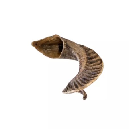 Corne de Mouton pour Chien - Mastication Naturelle S & M