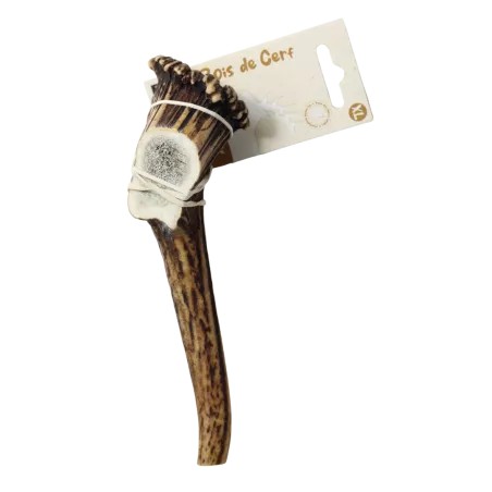 Bois de Cerf pour Chien S, M, L, XL - Les Recettes de Daniel
