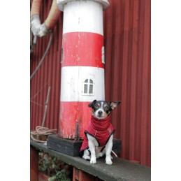 Manteau Chien Minot Trixie Rouge - Doublure Polaire & Déperlant