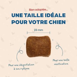 Bab'in Races Géantes Adulte Poulet | Croquettes Chien