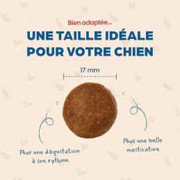 Bab'in Medium Stérilisé Poulet | Croquettes Chien