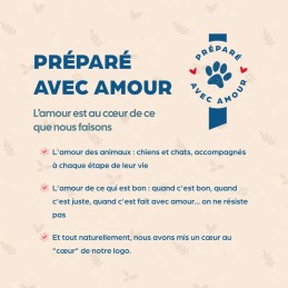 Bab'in Chat Sans Céréales Saumon | Croquettes Chat