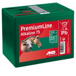 Pile sèche alcaline 9 volts