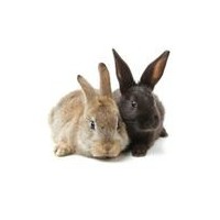 Aliments, Litières et Matériel pour Lapins | La Ferme de Marine