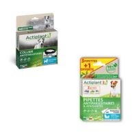 Antiparasitaires Chien : Puces et Tiques | Protection Efficace