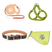 Sellerie et Accessoires de Promenade pour Chien