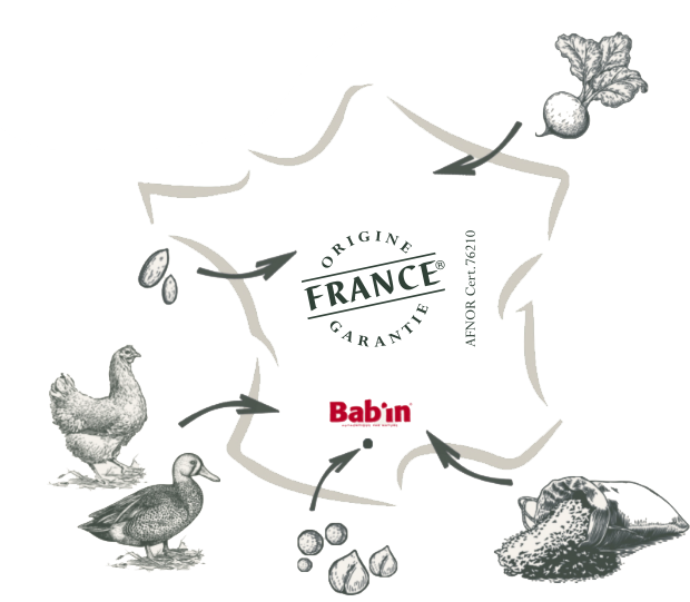 Carte des producteurs Bab'in